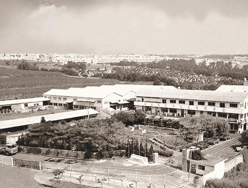 Relocation to Zhonggang Road Site