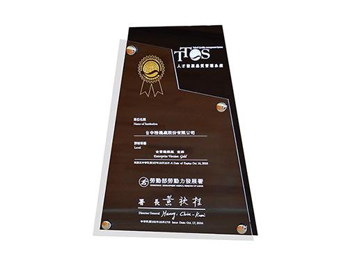 Gold Level Talent Development